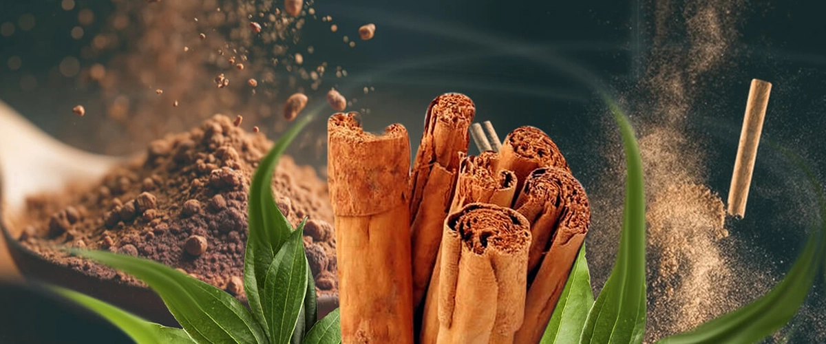 Ceylon Aroma — Premium Ceylon Spices, Tea & Coffee Export from Sri Lanka